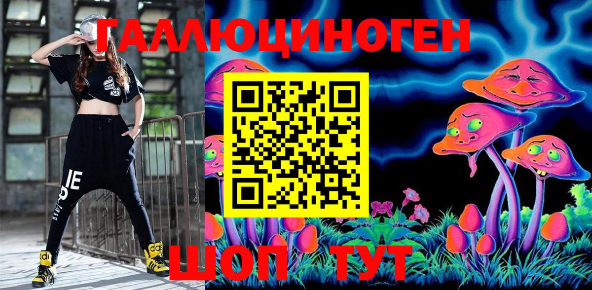 Псилоцибиновые грибы Cubensis  Вход с VPN  Тында 