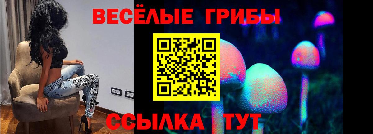 Галлюциногенные грибы MAGIC MUSHROOMS Тында
